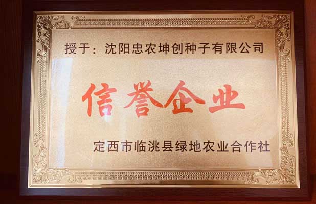 荣誉资质三